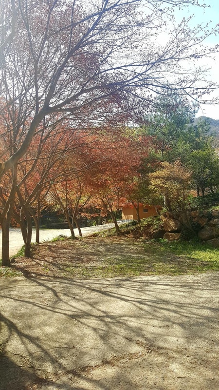 섬지캠핑장 시설 사진 25