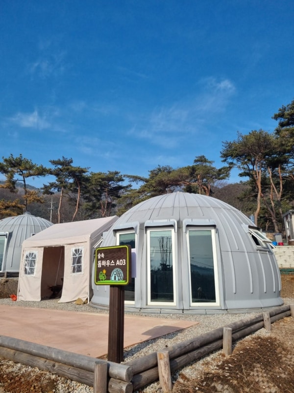전북 남원 교룡공원숲속야영장 숲속 돔하우스 A02 이용후기...