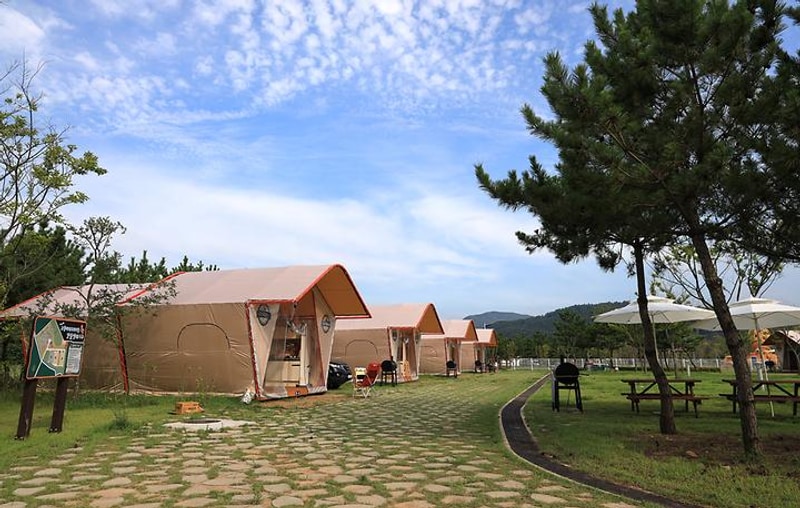 고창갯벌오토캠핑&글램핑장 대표 사진