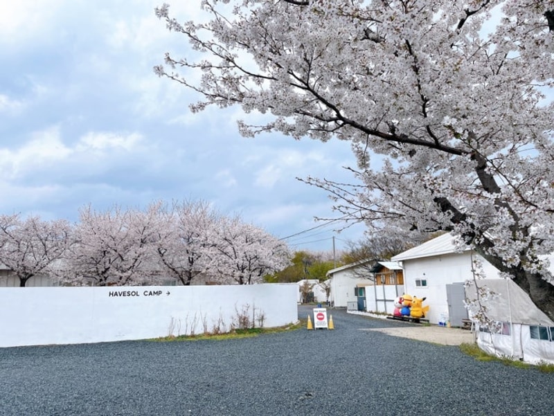 밀양 아이와 함께 놀 곳 실외)) 밀양 해브솔캠핑장...