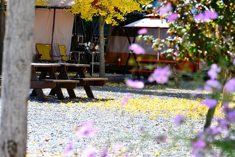 이우캠핑장 시설 사진 4