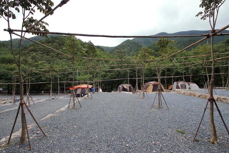 수리덤 캠핑장 시설 사진 8