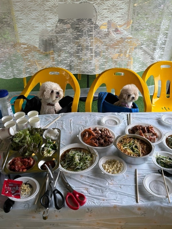 양주 캠핑식당 바베큐장맛집 애견동반 : 포레이즈