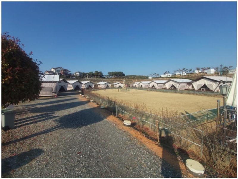 가득한 힐링시간 안면도카라반 태안 안면도 비비애견동반캠핑장