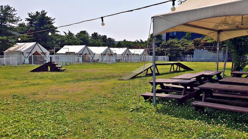 골드펫리조트 시설 사진 15