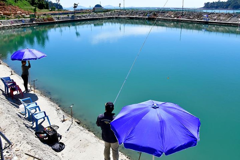 땅끝바다낚시터&글램핑 대표 사진