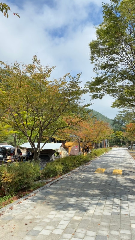 #원주치악산구룡자동차야영장캠핑