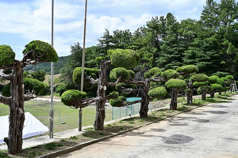 드론스포츠코리아 시설 사진 1