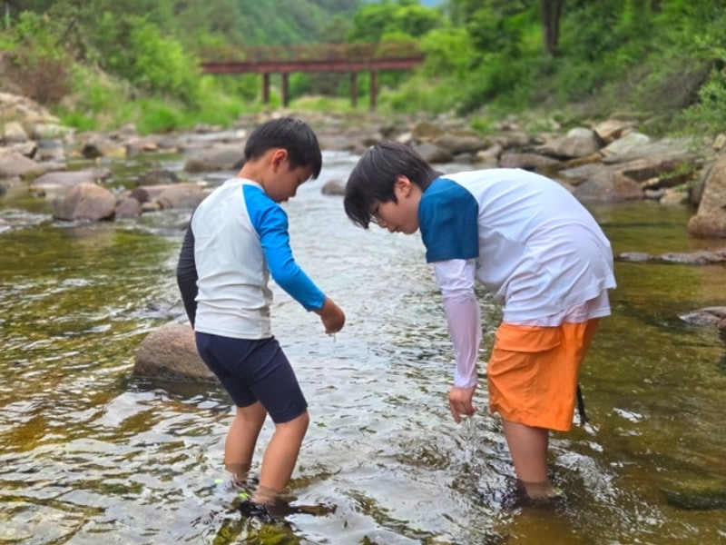 강원도 영월 계곡 캠핑장 법흥계곡 캠핑오늘, 신생...