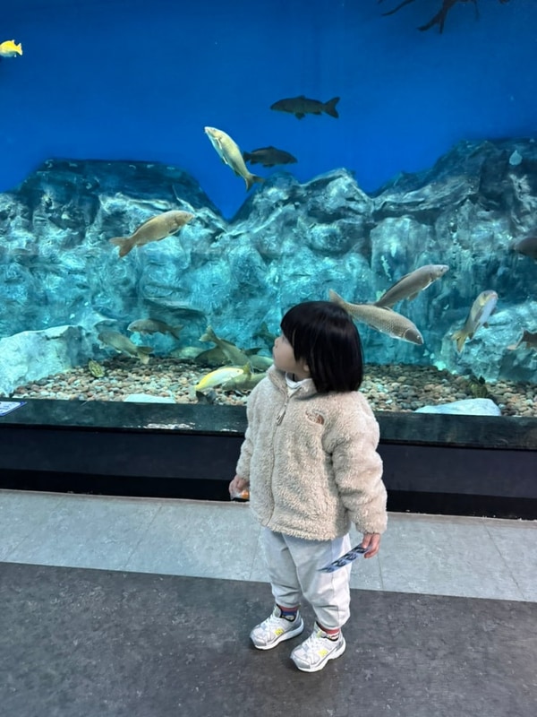 충북 괴산 괴강 국민여가캠핑장  43개월 아기랑 1박2일...