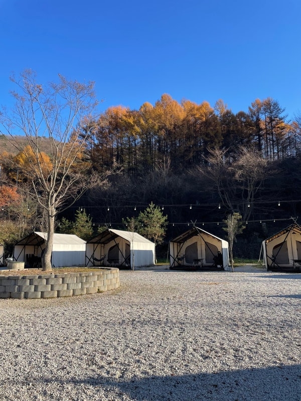 [ 산정호수글램핑 ] 포천 호랑이캠핑 산정호수점, 가을 날씨와...