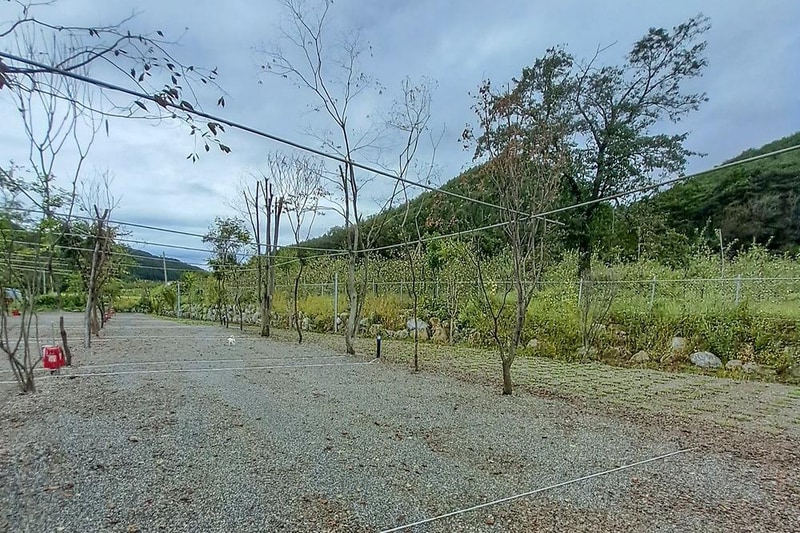 옥화 포시즌캠핑장 시설 사진 3