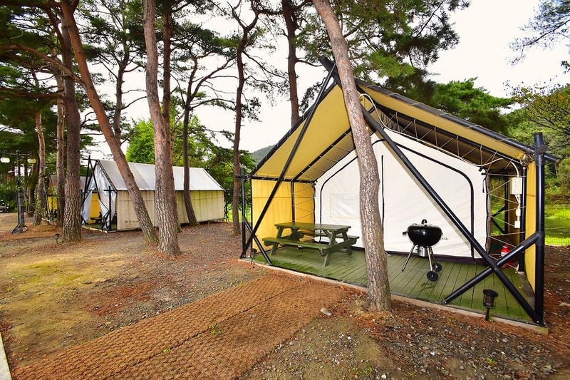 수림 휴원 시설 사진 19