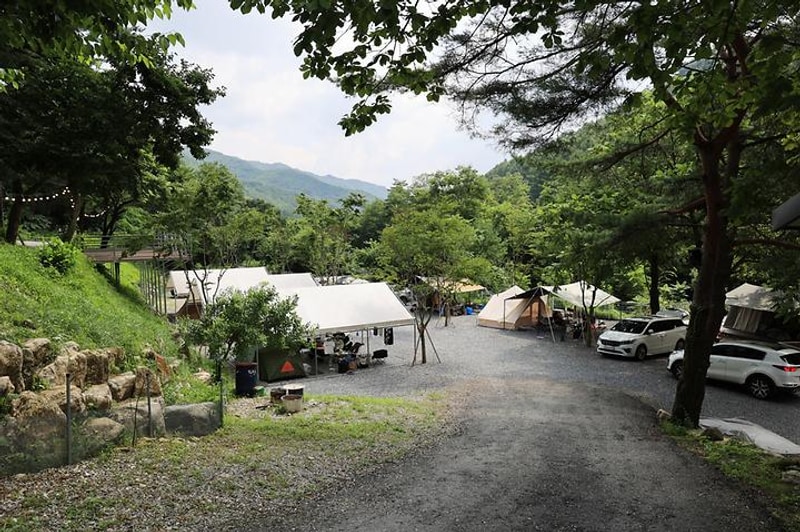 신림스테이캠프 대표 사진