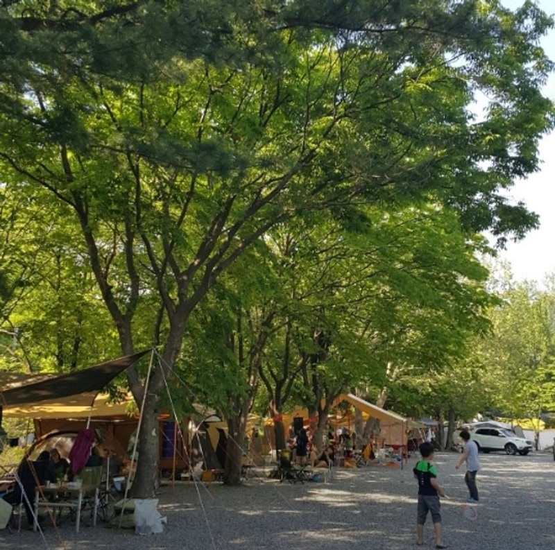 캠핑장 시설 좋은 곳 TOP5