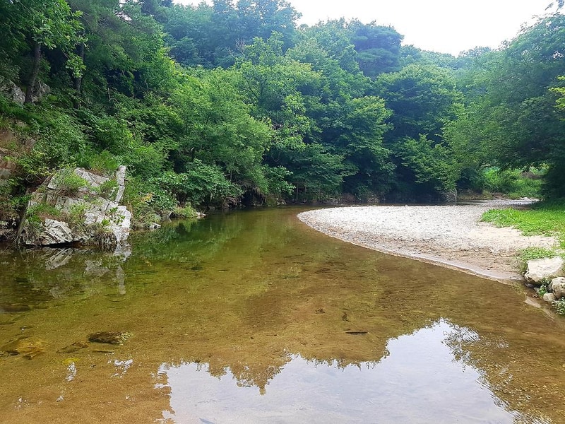 양양 포레스트캠핑장 시설 사진 3