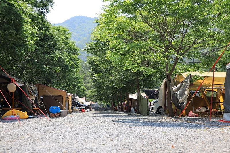 내리계곡 솔바람 캠핑장 시설 사진 3