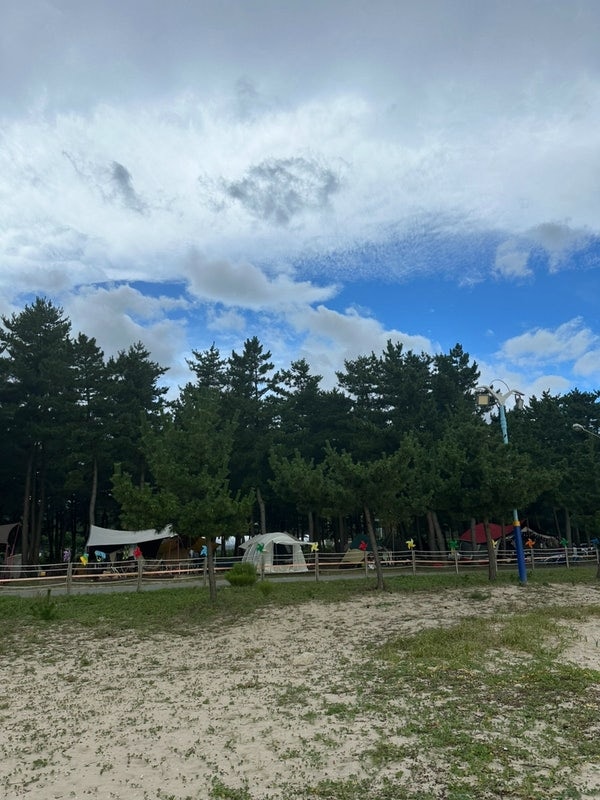 여름 바다 캠핑장 추천: 양양 북분솔밭캠핑장 내돈내산 후기...