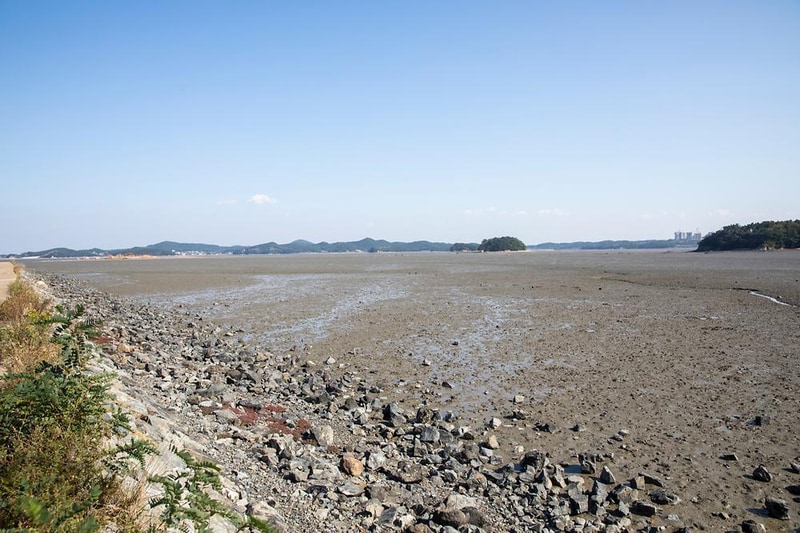 선재오토캠핑장 시설 사진 7