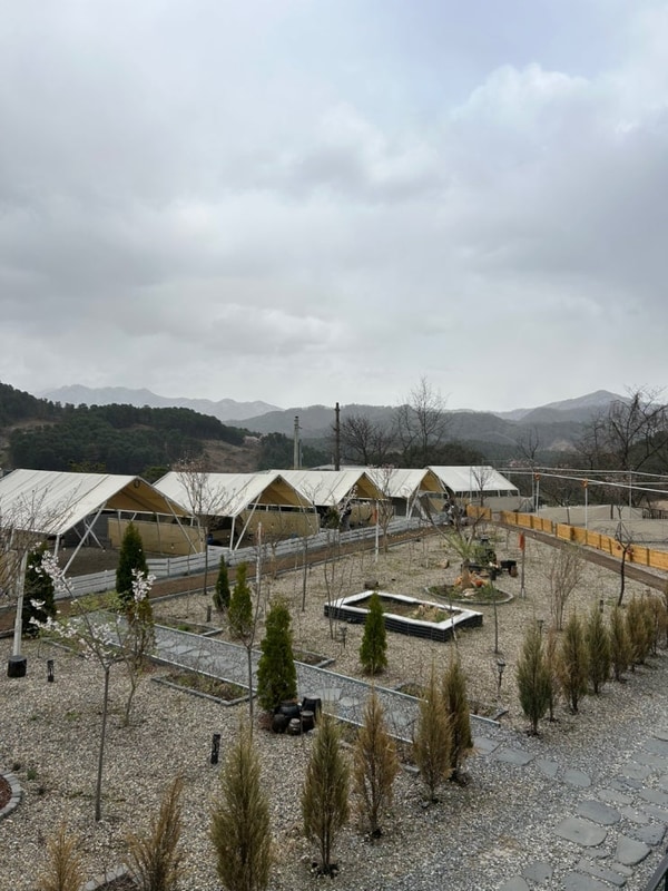 가평 나아정캠핑장 : 댕댕이들/우중캠핑으로 힐링하고 온...