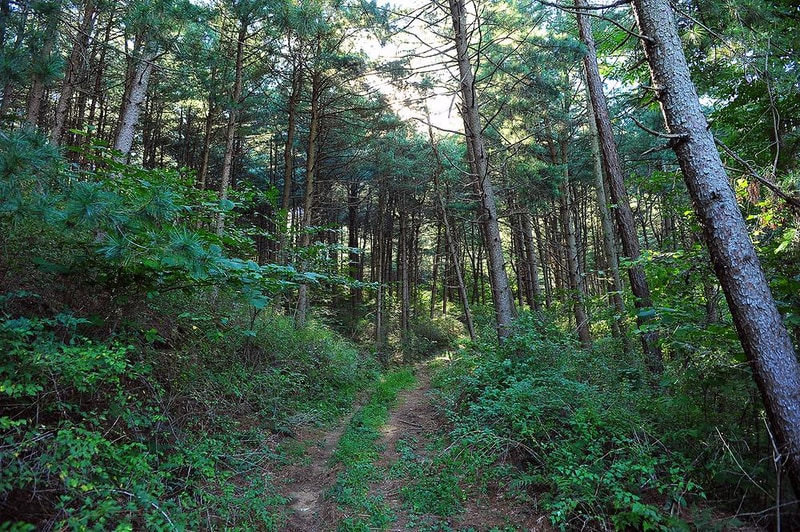 추동캠프 시설 사진 6