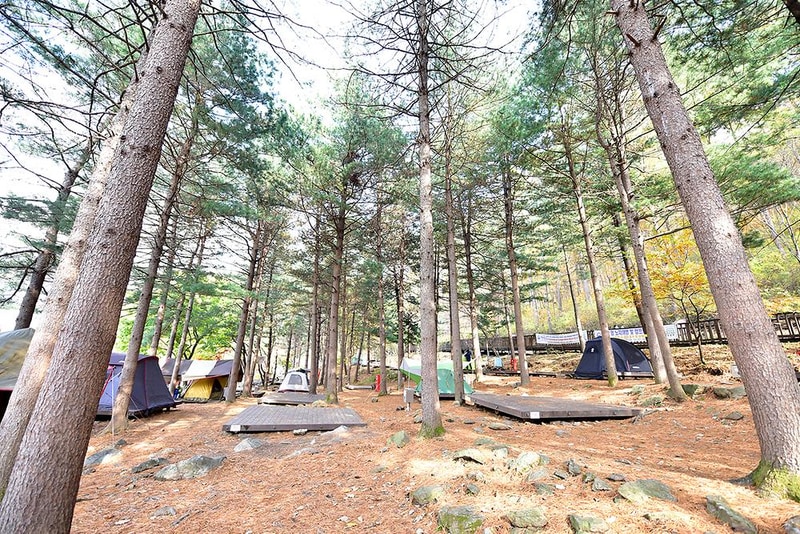 국립유명산자연휴양림(일반) 시설 사진 13