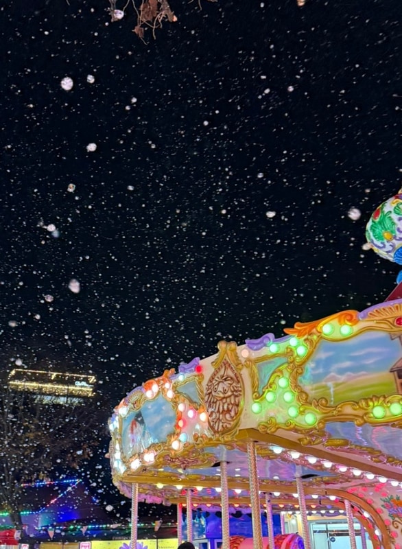 [경북/청도] 프로방스 빛 축제 & 글램핑 7동 1박 솔직 후기
