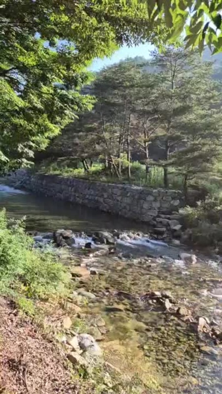 20251105(수) 법흥계곡캠핑오늘 입니다