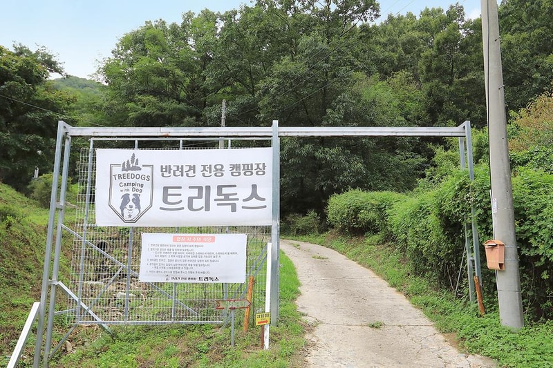 트리독스 애견전용캠핑장 시설 사진 15