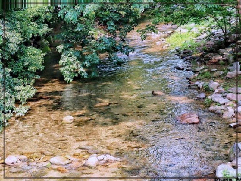 나만의 특별한 힐링 공간, 횡성캠핑장 청일관광농원 이야기