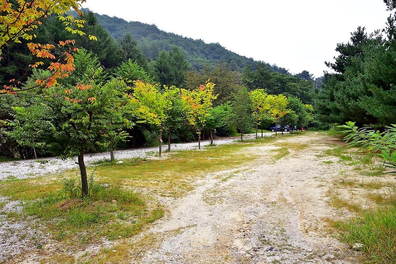 포천계곡캠핑장 시설 사진 10