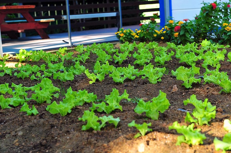 상아골계곡오토캠핑장 시설 사진 2