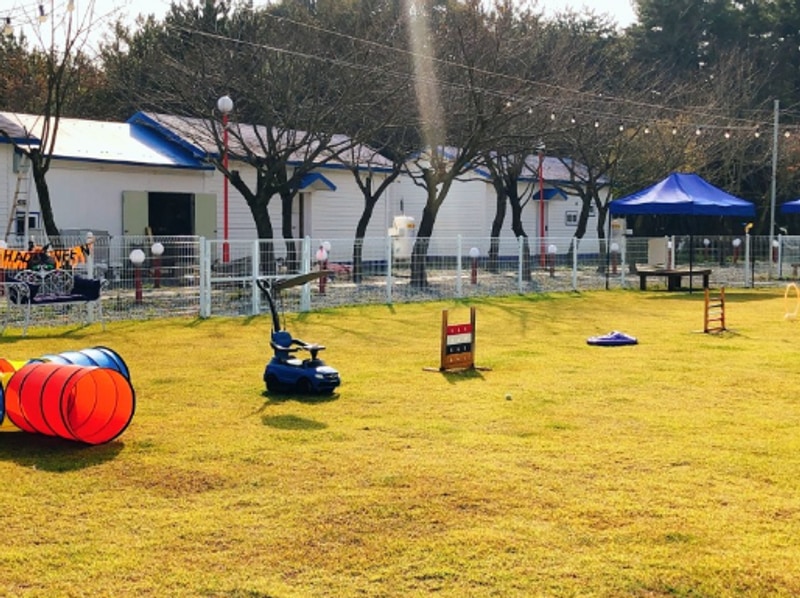 바닷가 5분 거리 애견 글램핑장 서산펫앤트리펜션