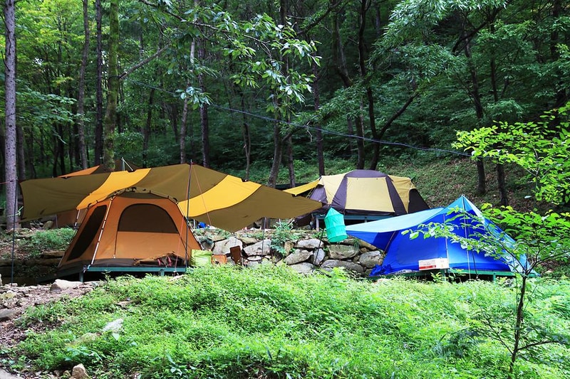 와룡자연휴양림 일반야영장 시설 사진 5