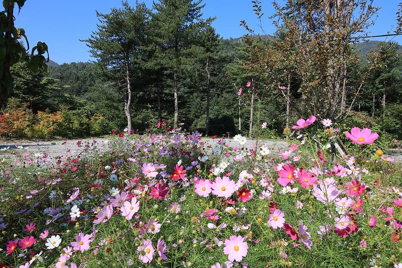 두밀숲캠핑장 시설 사진 5