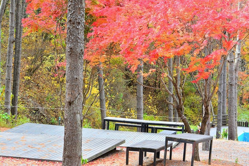 유명산힐링캠프 시설 사진 4