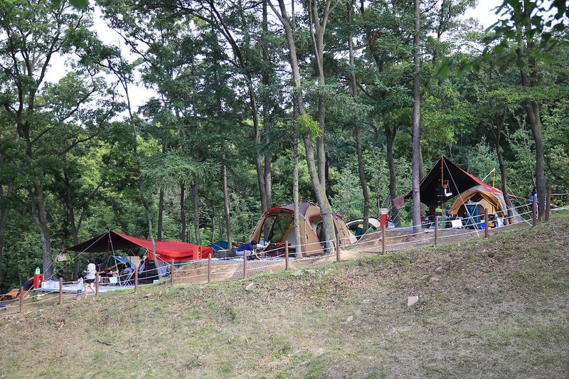 덕산국민여가캠핑장 시설 사진 25