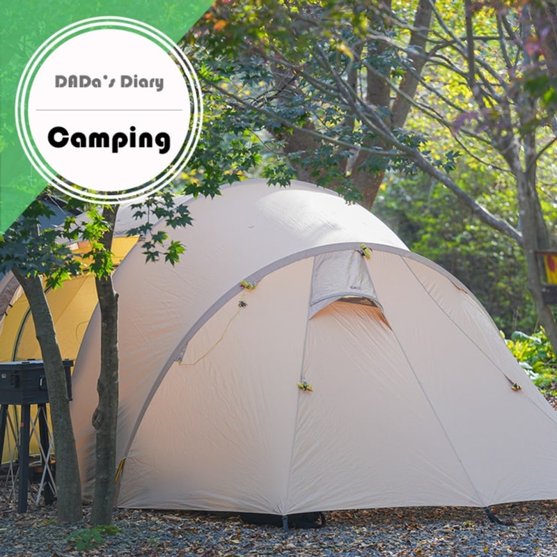 단풍캠, 영월 예그리나숲, 긴 여정을 마치며 (feat. 인연)