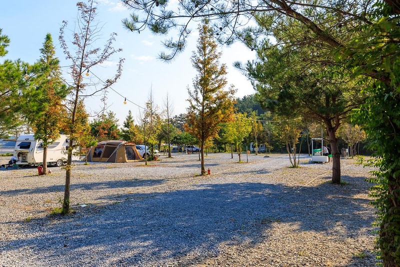 THE쉼오토캠핑장 시설 사진 11