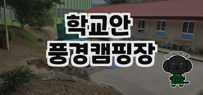 경기 파주에 위치한 학교안 풍경캠핑장 후기