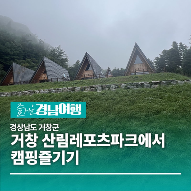 [경남/거창]거창 산림레포츠파크에서 캠핑즐기기 트리탑전망대...