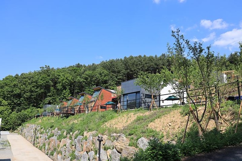 토리아이글램핑 대표 사진