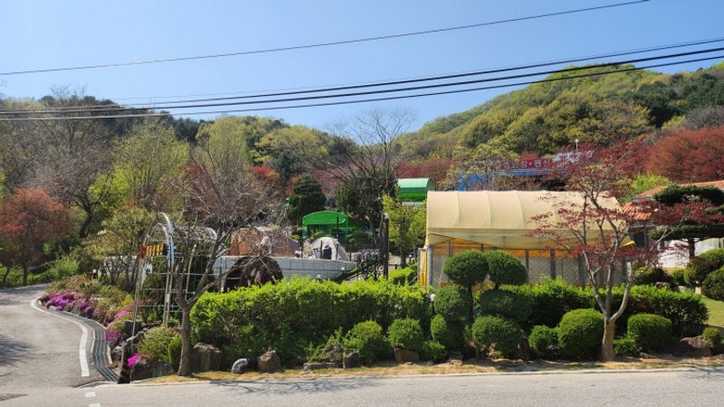 서울 근교 힐링 끝판왕! 동두천 벨라캠핑장 다녀왔어요~