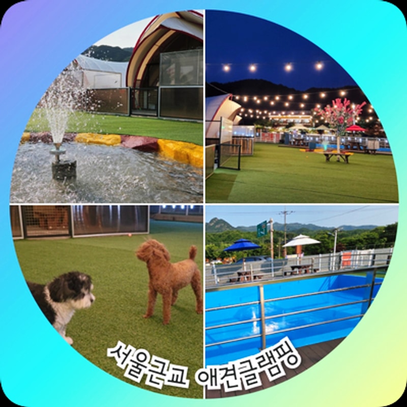 포천글램핑 애견동반 쏘쿨이네 글램핑