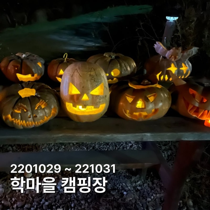 철원 학마을캠프 캠핑장, 저수지뷰 감성 끝판왕! 가족...