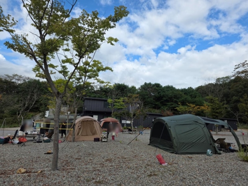 파주 자유로캠핑장 울창한 숲을 보며 힐링하기