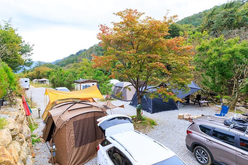 라온밸리캠핑장 대표 사진