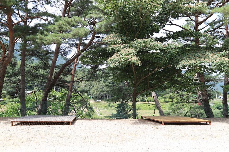 내린천솔밭힐링캠핑장 시설 사진 11