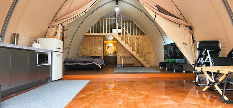 소나무세상 대표 사진