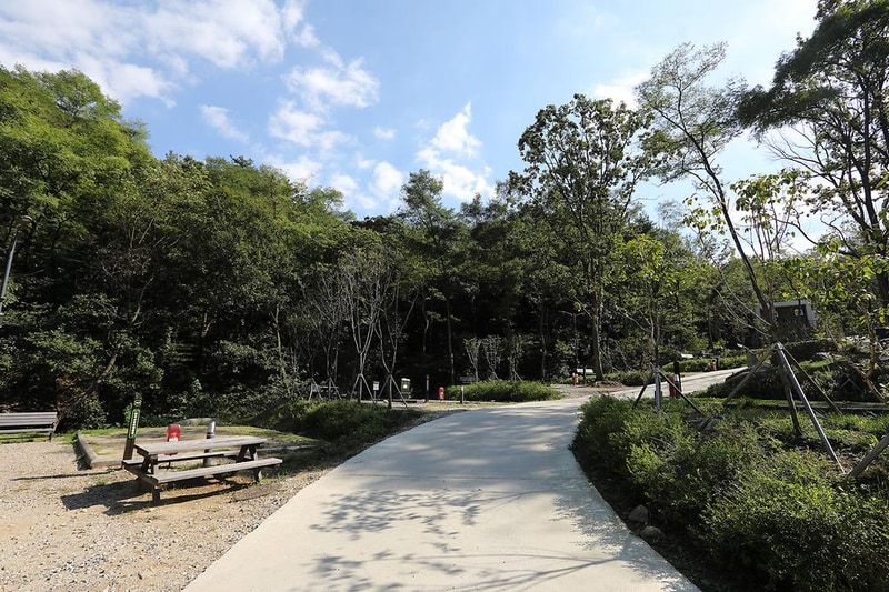 태학산 자연휴양림 오토캠핑장 시설 사진 9